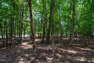 110 Country Road, Chapel Hill, NC 27514 - Photo 33