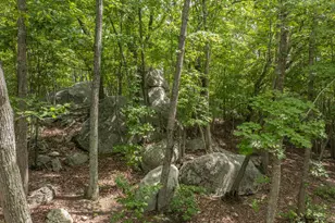 2717 State Hwy 49, Asheboro, NC 27205 - Photo 41