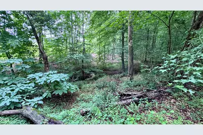95 Birch Creek Farm Lane, Franklinton, NC 27525 - Photo 63