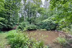95 Birch Creek Farm Ln, Franklinton, NC 27525 - Photo 65