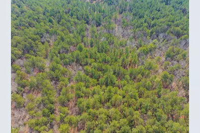 1701 Mitchells Chapel Road, Pittsboro, NC 27312 - Photo 11