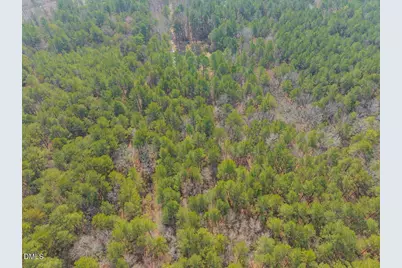 1701 Mitchells Chapel Road, Pittsboro, NC 27312 - Photo 9