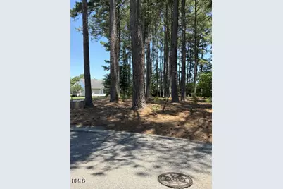 Lot 36 Ashley Lane, Dunn, NC 28334 - Photo 1