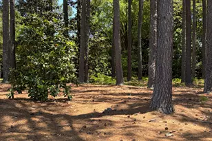 Lot 37 Ashley Ln, Dunn, NC 28334 - Photo 1