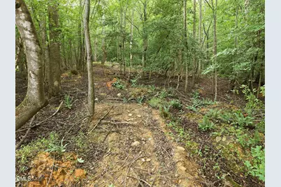 618 Bowen Road, Rougemont, NC 27572 - Photo 11