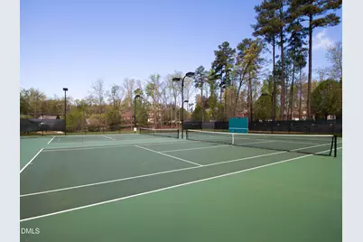 273 Brown Bear, Chapel Hill, NC 27517 - Photo 41