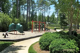 273 Brown Bear, Chapel Hill, NC 27517 - Photo 39