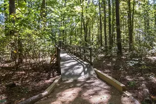 273 Brown Bear, Chapel Hill, NC 27517 - Photo 27