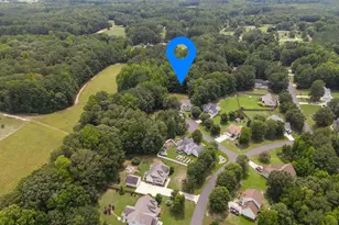 30 Fern Ct, Louisburg, NC 27549 - Photo 63