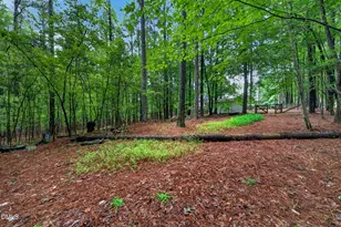 65 Summit Ridge Ct, Youngsville, NC 27596 - Photo 59