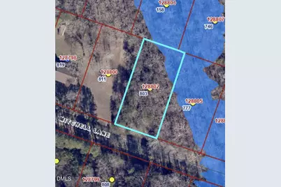 803 Mitchell Lane, Burlington, NC 27217 - Photo 3