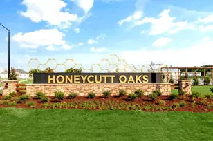66 Honeydew Dr, Angier, NC 27501 - Photo 33