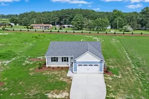 93 Huckleberry Bush Ln, Princeton, NC 27569 - Photo 29