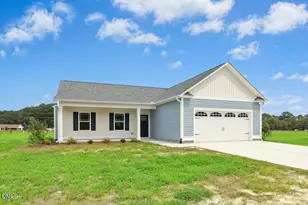 93 Huckleberry Bush Ln, Princeton, NC 27569 - Photo 1