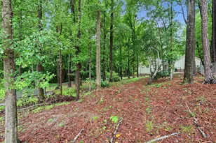 307 Gordon Farm Dr, Benson, NC 27504 - Photo 31