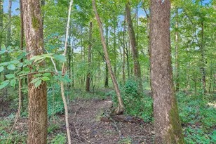 2008 Tanglewood Dr, Clayton, NC 27520 - Photo 21