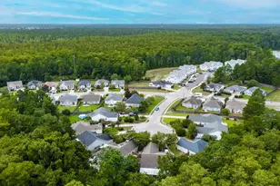 9544 Mermaids Watch Ct, Leland, NC 28451 - Photo 39