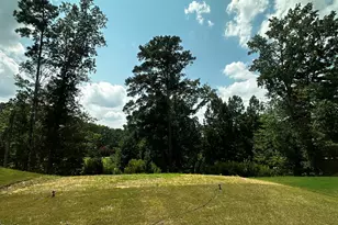 57 Baird Cv Ln, Angier, NC 27501 - Photo 19