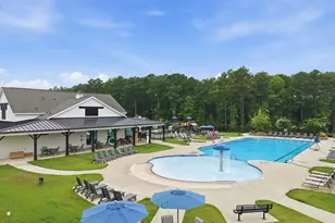 2517 Great Daisy Ln, New Hill, NC 27562 - Photo 73