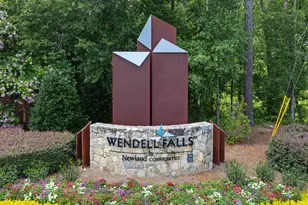 1503 Millrock Trl, Wendell, NC 27591 - Photo 39