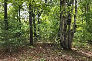 4501 Mill Creek Rd Lot 1, Cedar Grove, NC 27231 - Photo 1