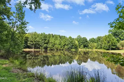462 Big Willow Way, Rolesville, NC 27571 - Photo 41