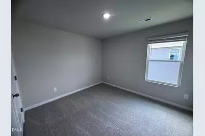 50 Thistle Patch Place, Angier, NC 27501 - Photo 17
