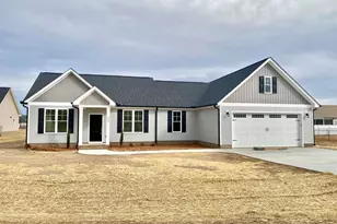 203 Rae Dr, Pikeville, NC 27863 - Photo 1