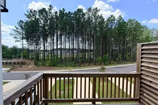 451 Carolina Spgs Blvd, Apex, NC 27539 - Photo 15