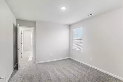 290 White Birch Lane, Angier, NC 27501 - Photo 11