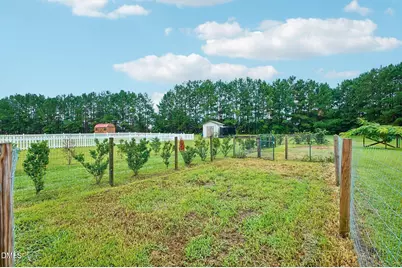 112 Camden Pl Street, Princeton, NC 27569 - Photo 21