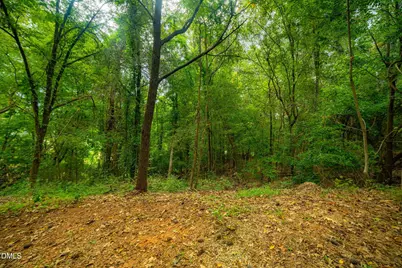 105 Wright Hill Drive, Durham, NC 27712 - Photo 9