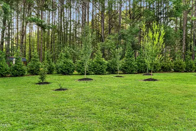 700 Lochgarton Lane, Raleigh, NC 27614 - Photo 73