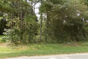 4013 US 401 N, Louisburg, NC 27549 - Photo 1