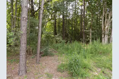 4013 US 401 N, Louisburg, NC 27549 - Photo 3