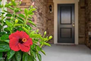 1618 Vineyard Mist Dr, Cary, NC 27519 - Photo 3