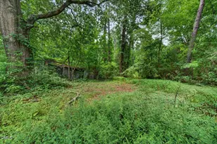 420 Bunn St, Henderson, NC 27536 - Photo 35