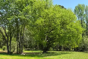 5545 Silk Hope Gum Springs Rd, Siler City, NC 27344 - Photo 5