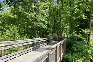 2444 Gordal Trl, Apex, NC 27562 - Photo 45