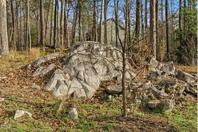 798 Horizon Drive, Pittsboro, NC 27312 - Photo 55
