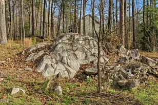798 Horizon Dr, Pittsboro, NC 27312 - Photo 55