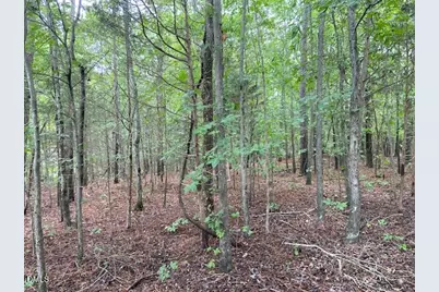0 Coe Street, Timberlake, NC 27583 - Photo 3