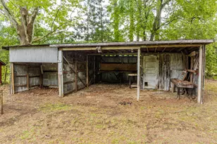 407 Conwell Rd, Pleasant Hill, NC 27866 - Photo 33