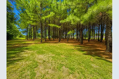 28 Bunn Road, Kenly, NC 27542 - Photo 7