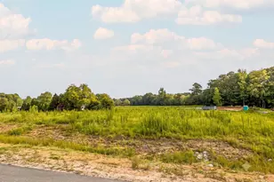5200 Harmony Grove Ln, Youngsville, NC 27596 - Photo 3