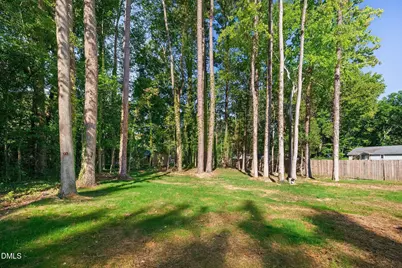 729 Shepard School Road, Zebulon, NC 27597 - Photo 45