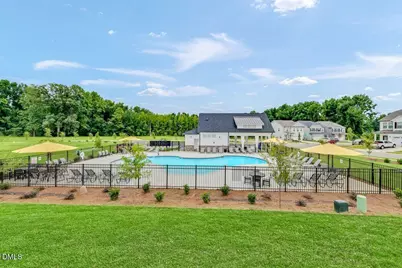 290 Blue Butterfly Drive, Angier, NC 27501 - Photo 19