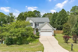 16 Micro Ct, Broadway, NC 27505 - Photo 23