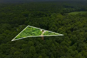 2010 Damascus Church Rd, Chapel Hill, NC 27516 - Photo 65