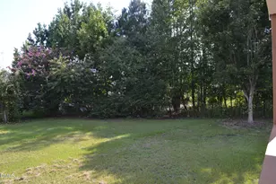 121 Bent Tree Ct, Lillington, NC 27546 - Photo 41
